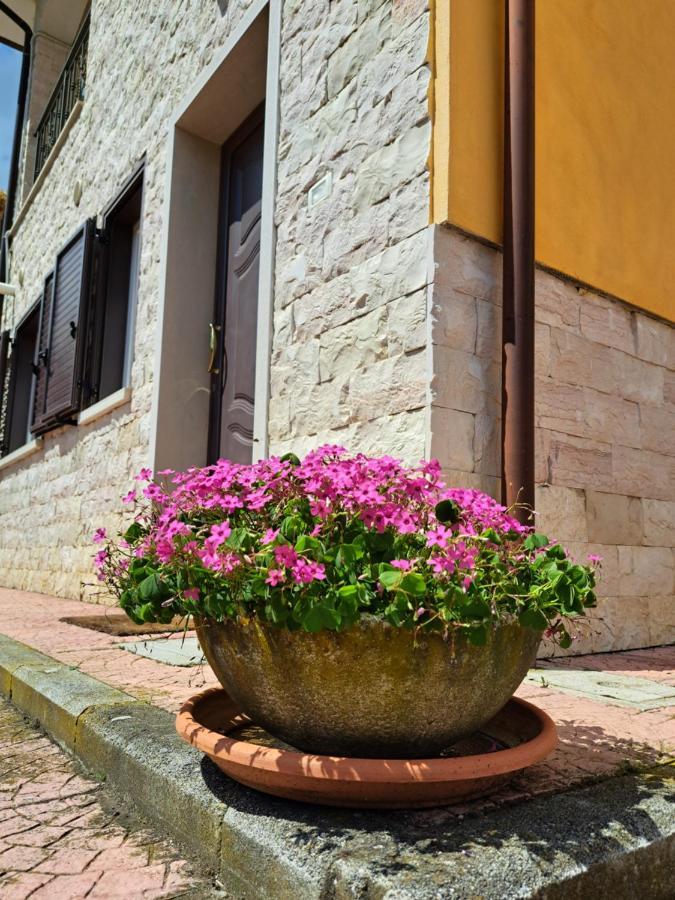 Вілла La Casa Di Mezzo-Affitti Brevi-Zona Ospedali Busso Екстер'єр фото